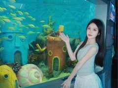 -合肥海洋世界