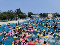 -秦皇岛乐岛海洋王国