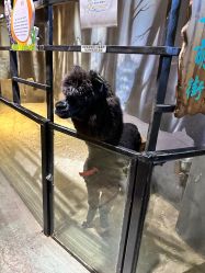 点击看大图 -酷嗒动物文化乐园(cutezoo西溪乐天城店)