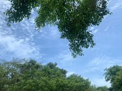 -同禧荟·港味海鲜火锅·粤菜(三亚湾店)
