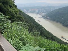 -铁山坪森林公园