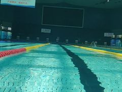 -重庆市奥林匹克体育中心-游泳跳水馆