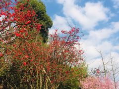 -秀丽东方
