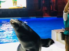 -波塞冬旅游度假区