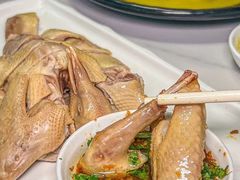 -琬苑鸽庄·川粤融合菜(解放碑总店)