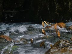 -西岭雪山大飞水景区