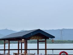 -长田漾湿地公园