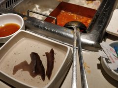 -海底捞火锅(团结桥店)