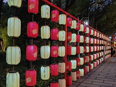 -淹城春秋乐园