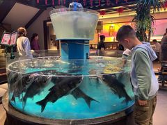 -魏铭鱼头捞饭(晋阳路店)