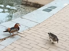 -中国农业博物馆