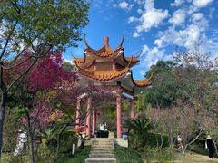 -深圳仙湖植物园