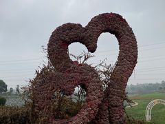-紫颐香薰山谷景区