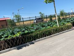 -兴芮温泉度假区