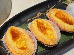 -点都德·毕德寮