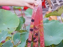 -赵美丽·重庆社区火锅·直营店(火车东站·中豪国际店)