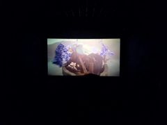-奥斯卡升龙国际影城(RealD Cinema)