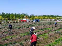 -嘉北郊野公园