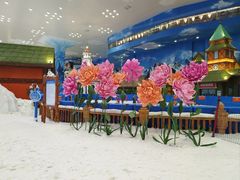-湘江欢乐城欢乐雪域