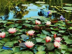 -国家植物园南园