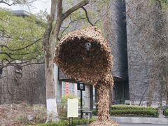 -中国美术学院-美术馆