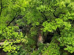 -巴倒烫陆派火锅山庄(南山总店)