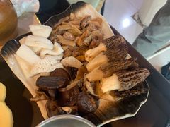 -蘑统田下·野生菌火锅