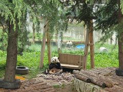 -西安秦岭野生动物园