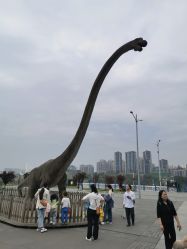 -恐龙探索乐园(磁器口店)