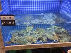 -浙C老邻舍(西城海错店)