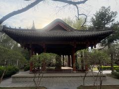 -碑林公园