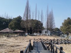 -沙家浜风景区