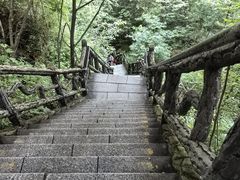 -汤旺河林海奇石景区