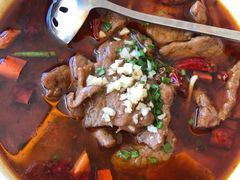 水煮牛肉-新镇江酒家(南京西路店)