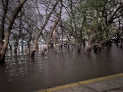 -宝安西湾红树林湿地公园