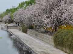 -元大都城垣遗址公园