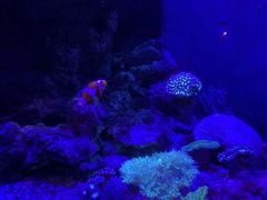 -成都浩海立方海洋公园