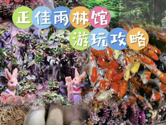 -正佳雨林生态植物园