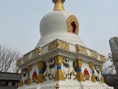 -护国法轮寺