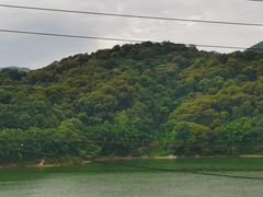 -广州市帽峰山景区