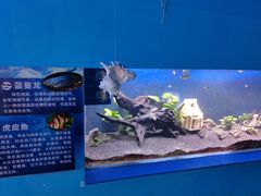 -沙沙哗啦海洋馆(华宇百花谷店)