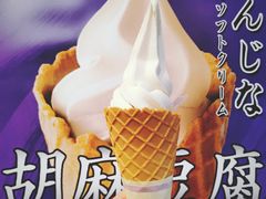 -有栖山 清光院 清水寺