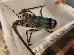 -镛记酒家