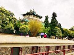 -武汉大学-樱园