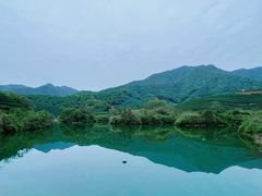 -龙坞茶村