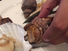 -富力希尔顿酒店·地阔自助餐厅