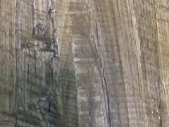 -味之绝热血美蛙鱼火锅(中坝店)