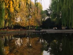 -玲珑塔公园