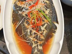 -前海沿·青岛菜(大拇指广场石老人店)