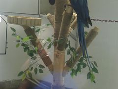 -青藏高原野生动物园